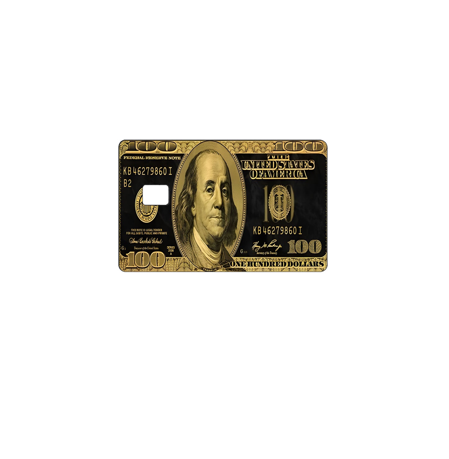 100 Dollar Credit Card Skin