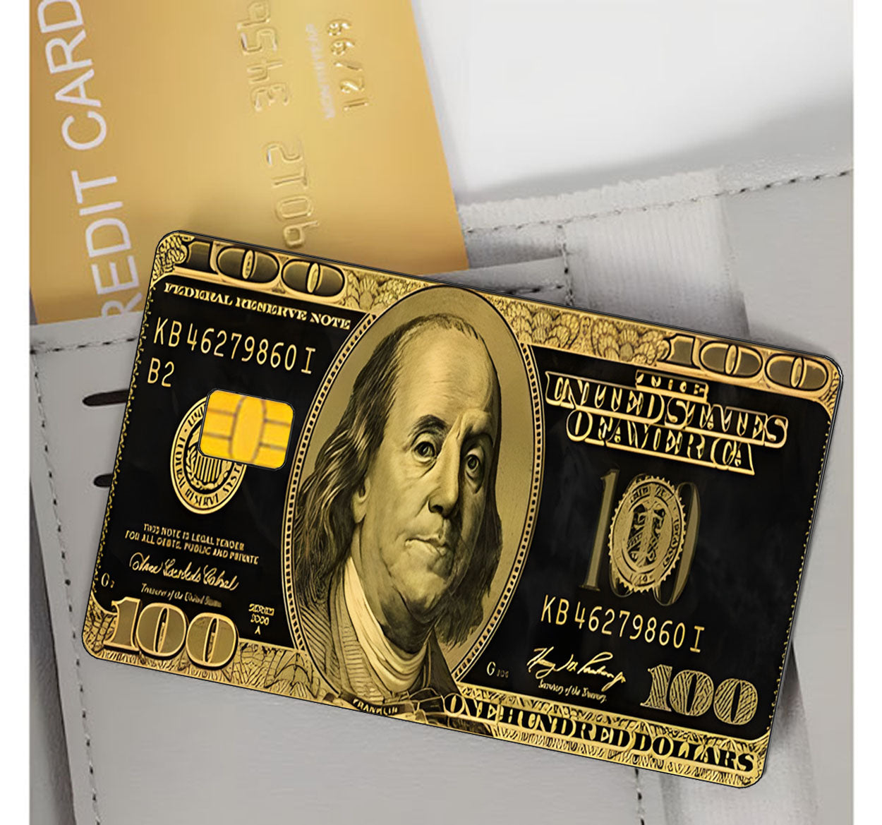100 Dollar Credit Card Skin